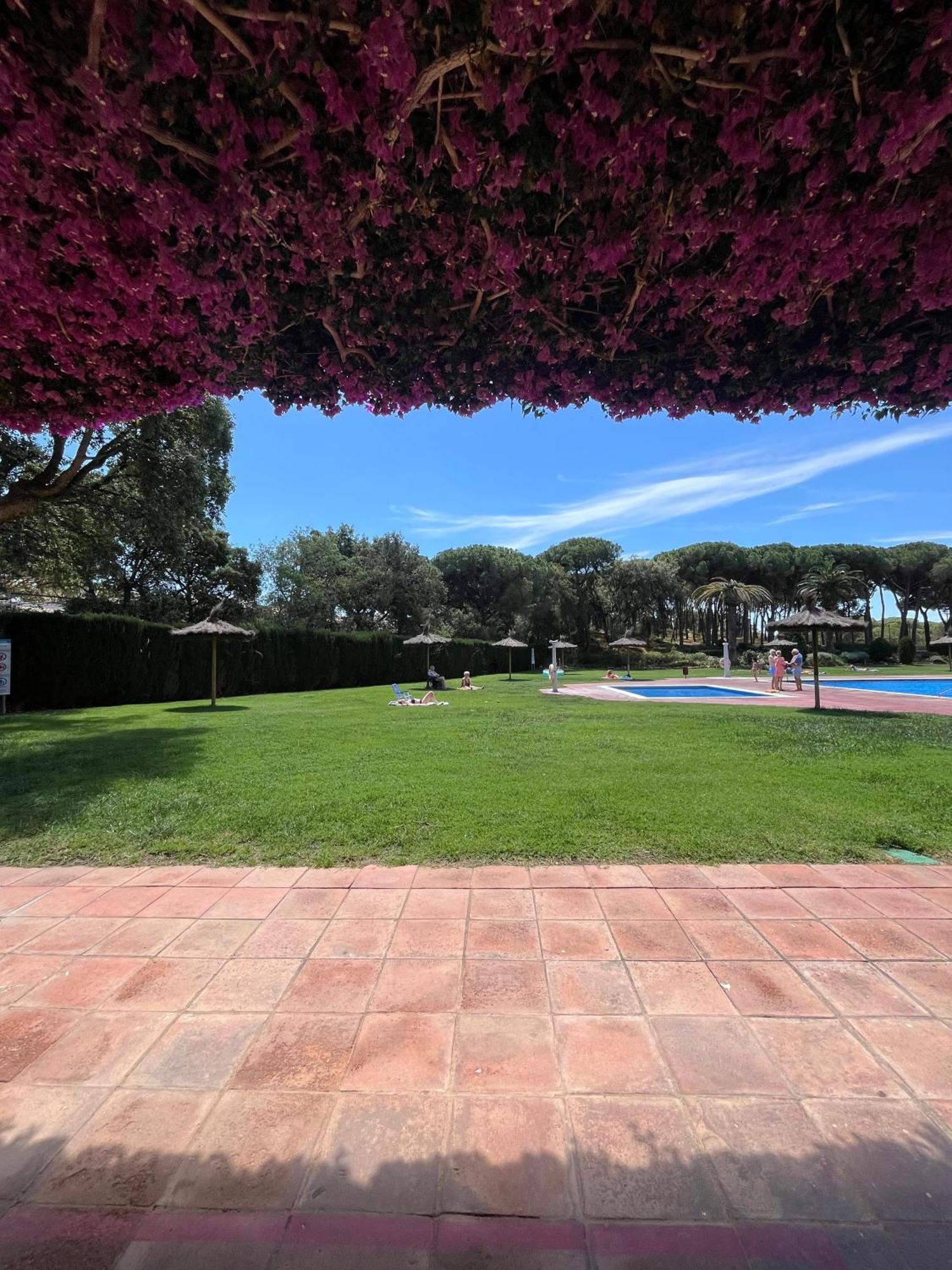Apartamento Calella De Palafrugell - Piso Reformado Con Piscina, Wifi Y Parking Gratuito Exterior foto